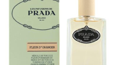 Photo of «Prada: Opiniones, precios y características de los perfumes más vendidos en Fragrantica»