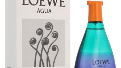 Photo of «Reseña del perfume Loewe Earth: descubre la fragancia natural perfecta para ti»